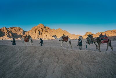 Beyza İle Sharm El Sheikh Kahire Dahab Turu 4 Gece Ekstra Turlar Dahil