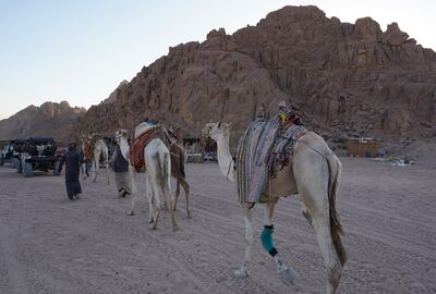 Beyza İle Sharm El Sheikh Kahire Dahab Turu 4 Gece Ekstra Turlar Dahil