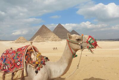 Beyza İle Sharm El Sheikh Kahire Dahab Turu 4 Gece Ekstra Turlar Dahil