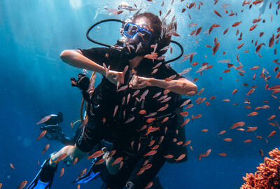 Beyza İle Sharm El Sheikh Kahire Dahab Turu 4 Gece Ekstra Turlar Dahil