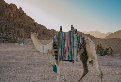 Ara Tatilde Mısır Rüyası – 5 Yıldızlı Otel Konaklamalı Sharm, Kahire ve Dahab Turu