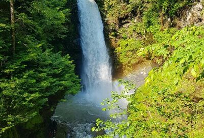 Butik Karadeniz yayla turu 4 gece 5 gün